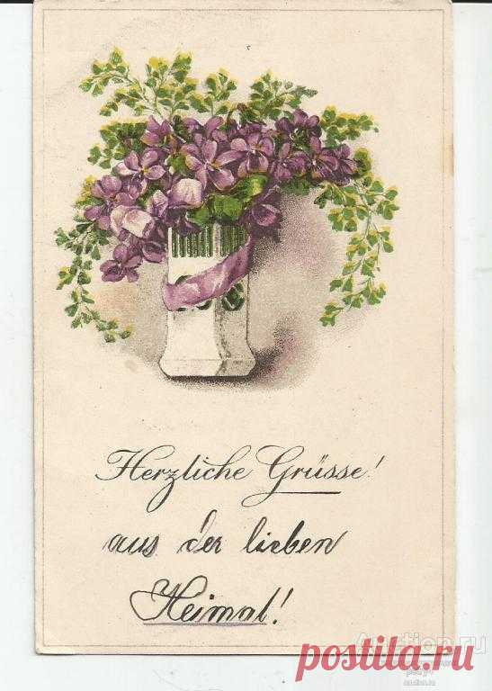 5342_pozdravitelnaja_cvety.jpg (547×768)