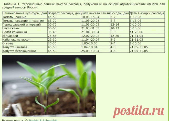 Расчет сроков посева семян овощных культур на рассаду - Советы для садовода и огородника - Всё для сада и огорода - Каталог статей - Всё для жизни