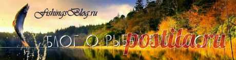 Запрет на рыбалку 2018