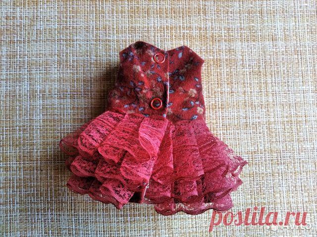 Платье с бабочками для куклы nines d'onil Mia 30см купить в Приозерске | Личные вещи | Авито