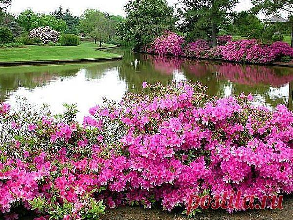 Просто красиво