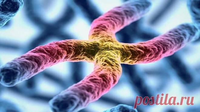 Красота внутри: микробиолог из Уфы показывает в инстаграме вирусы и бактерии, которые живут в нас Микробиология может быть интересной! Не верите? Тогда взгляните на инстаграм Самсоновой Янны, микробиолога и сотрудника клинико-диагностической лаборатории Городской клинической больницы в Уфе. Девушк...