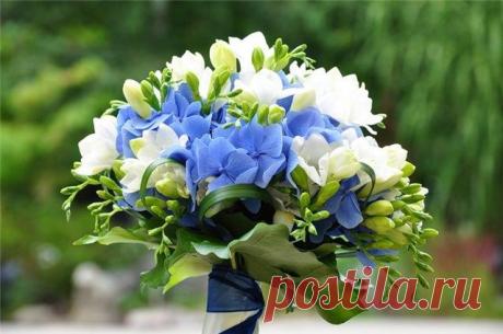 Мой Мир@Mail.Ru