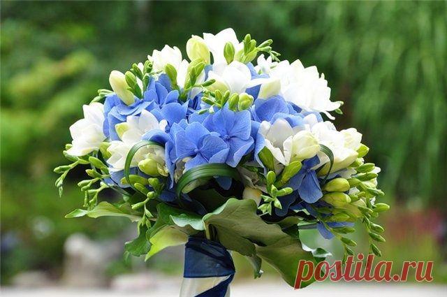 Мой Мир@Mail.Ru