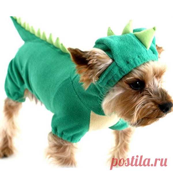 Щенок Pet хэллоуин динозавр костюм водонепроницаемый пальто зеленого пальто наряды перемычек одежда одежда бесплатная доставка купить на AliExpress