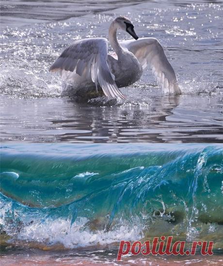 Нежность фотографий Татьяны Образ.