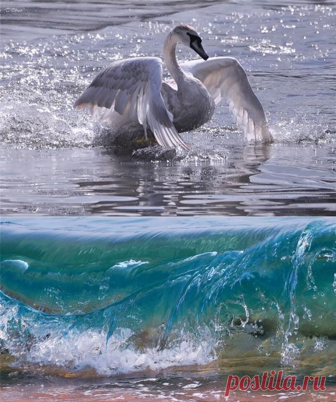 Нежность фотографий Татьяны Образ.