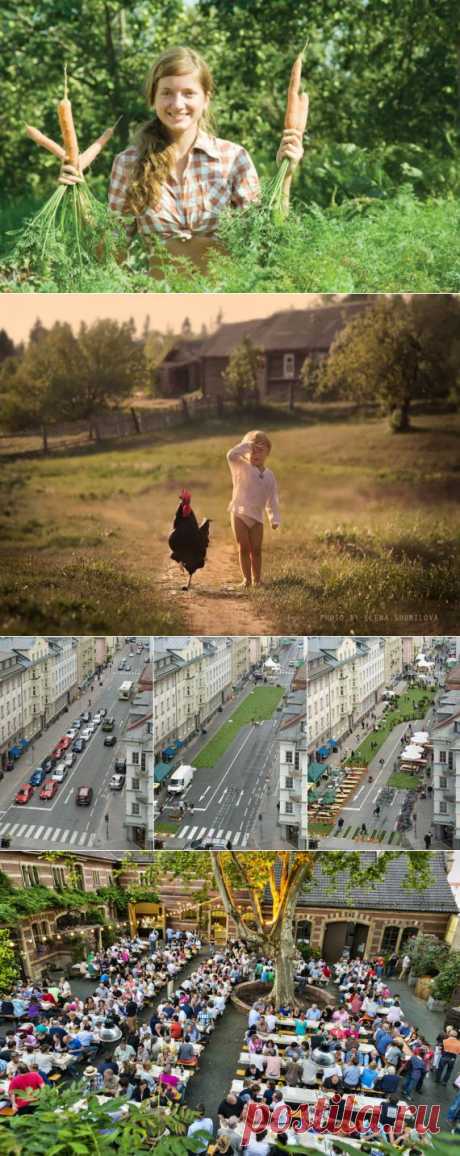 Simple Life - манифест простой жизни
