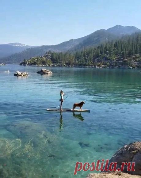 (4) Facebook