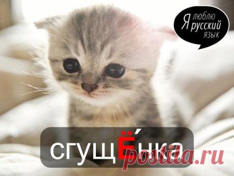 Стена