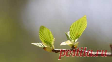 Красивые картинки на рабочий стол: Природа