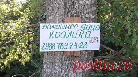 Новые приколы и маразмы в рекламе и надписях / Приколы