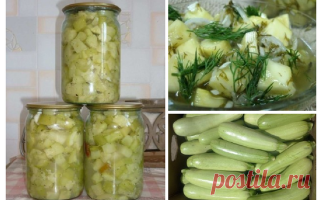 Кабачки как грибы — не закуска, а песня! — Мой милый дом