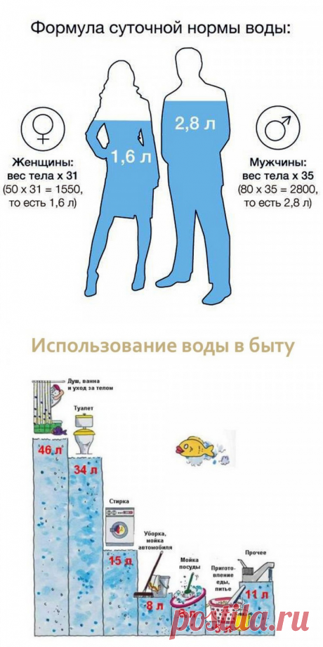 Бытовая Техника - Как выбрать кувшинный фильтр | Клуб экспертов DNS