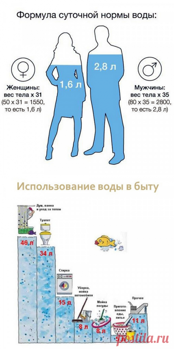 Бытовая Техника - Как выбрать кувшинный фильтр | Клуб экспертов DNS