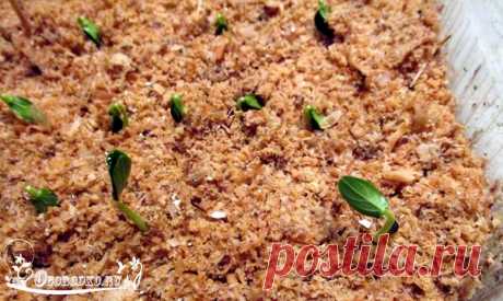 Выращивание рассады в опилках