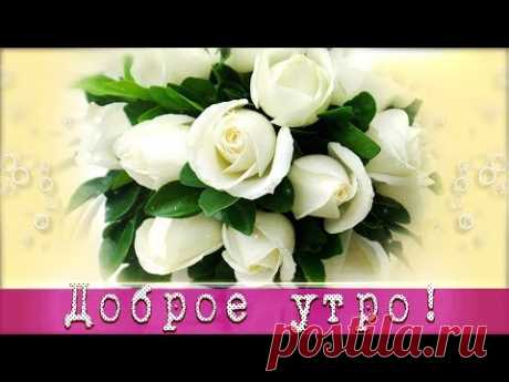 🌞Доброе утро! Хорошего дня!🌞Анимационная открытка для #WhatsApp - YouTube