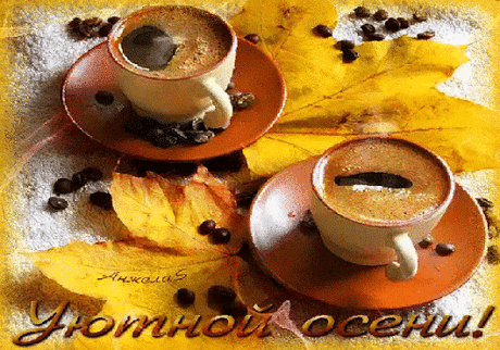 ЖИВЫЕ КАРТИНКИ. GIF. – Google+