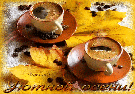 ЖИВЫЕ КАРТИНКИ. GIF. – Google+