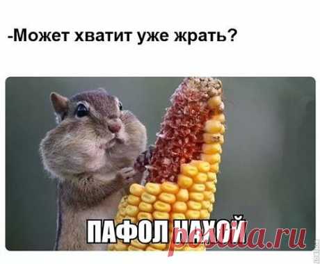 Одноклассники