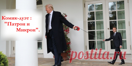 КОМИК-ДУЭТ : ПАТРОН и микрон.