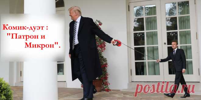 КОМИК-ДУЭТ : ПАТРОН и микрон.