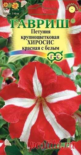 Петуния крупноцветковая "Хиросис", красная с белым