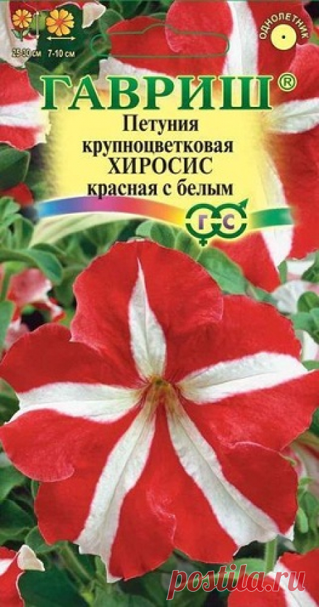 Петуния крупноцветковая &quot;Хиросис&quot;, красная с белым