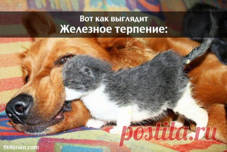(87) Personal Life Coach Valentyna Gemska