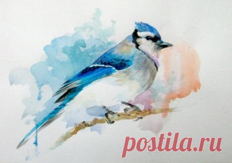 «дорисовываем акценты, клюв, лапки, полосочки » — карточка пользователя aleksander.kolomiy в Яндекс.Коллекциях