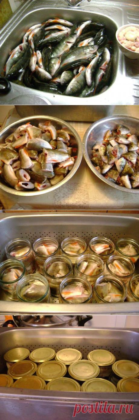 Консервы из речных окуньков в масле и томате | Давай поговорим