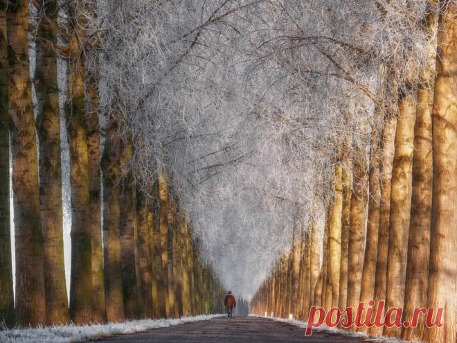 Cold Row White V by Lars van de Goor – Beautiful 📷 Pictures