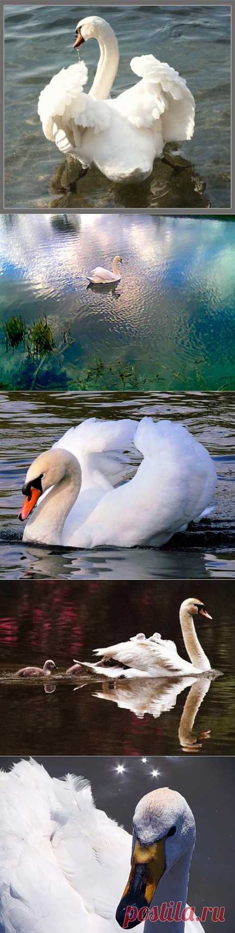 Земля в иллюминаторе - Блог - Страница 13 - Привет.ру