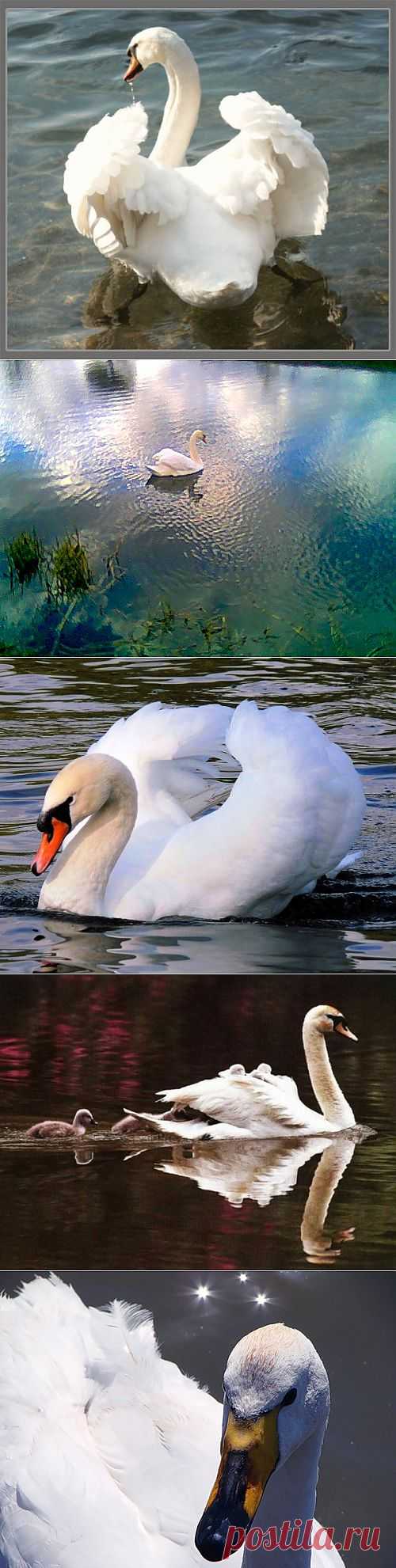 Земля в иллюминаторе - Блог - Страница 13 - Привет.ру