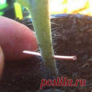 Шьем подушку из обрезков - МирТесен