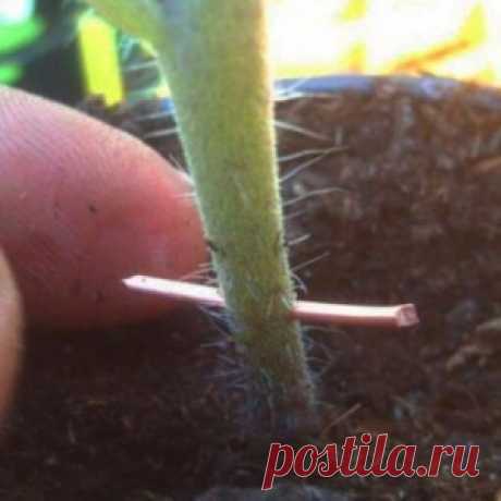 Шьем подушку из обрезков - МирТесен