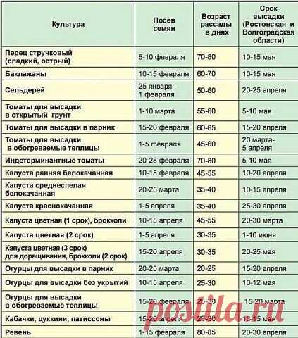 ДАЧНИКАМ ТОЧНО ПРИГОДИТСЯ!