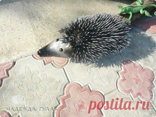 Ёжик на даче, своими руками