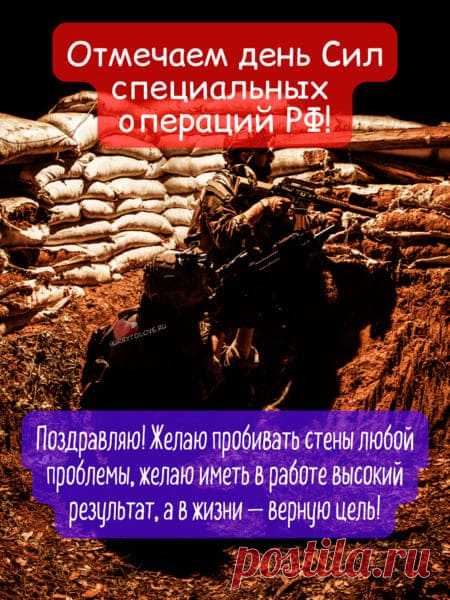 День Сил специальных операций  Российской Федерации!