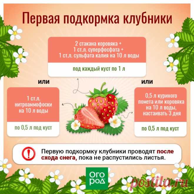 Берите на заметку!