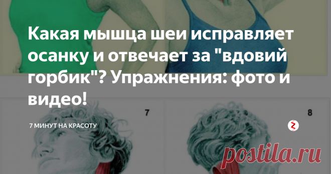 Какая мышца шеи исправляет осанку и отвечает за 