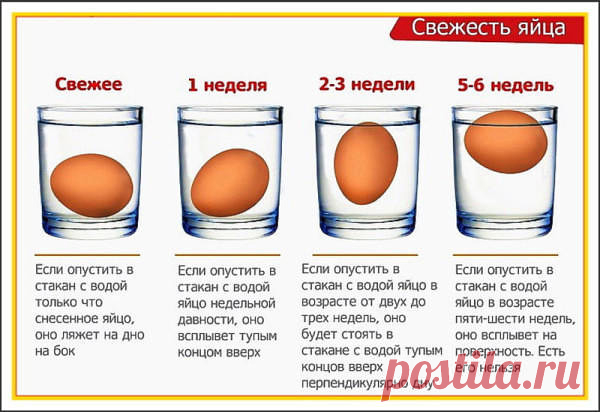 Возьмите на заметку