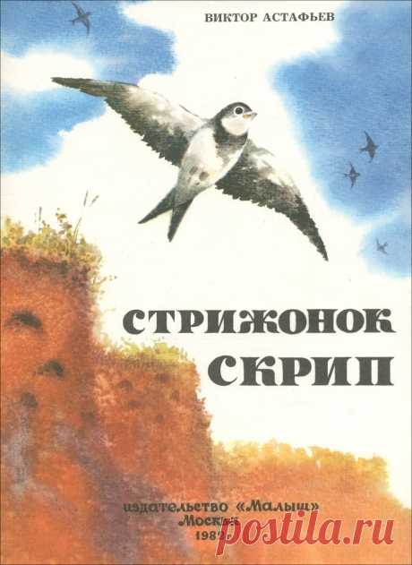 Добрая и поучительная история о том, как маленький стрижонок Скрип со своими братьями и сестрами остались без матери. Её унес сокол. На помощь сиротам пришла вся стая, они кормили птенцов и научили их летать