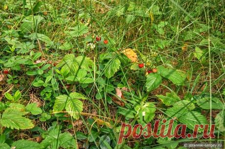 НЕОБЫЧНОЕ ПУТЕШЕСТВИЕ В ПРОСТРАНСТВЕ И ВРЕМЕНИ