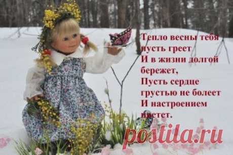 День кошек. Первый день весны.