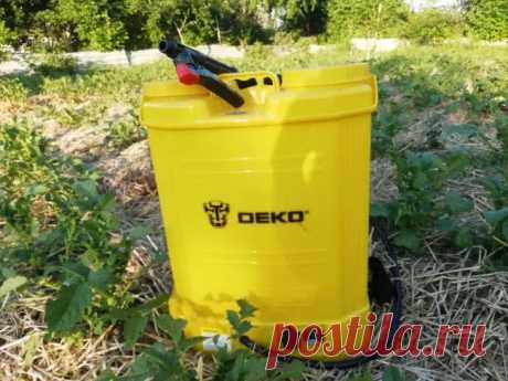 Зачем нужны осенние опрыскивания сада: не откладывайте обработку до весны. Проводят опрыскивания в сухую безветренную погоду, после полного опадения листьев.