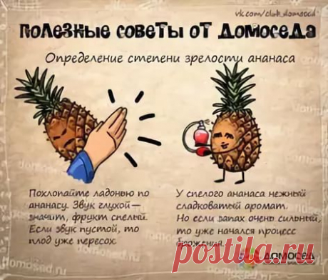 рецепты в картинках на все случаи жизни: 10 тыс изображений найдено в Яндекс.Картинках