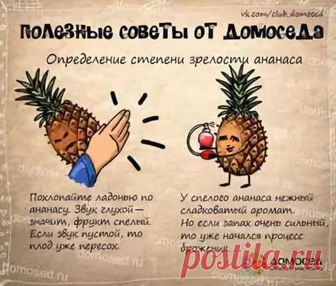 рецепты в картинках на все случаи жизни: 10 тыс изображений найдено в Яндекс.Картинках