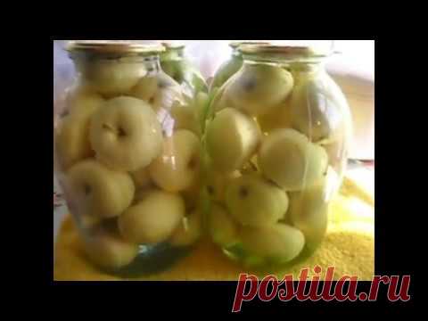 Консервация яблок белый налив – это самый лучший способ сохранить вкусные и полезные плоды на  зиму
