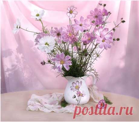 Vostorjennaya (Вика) — «Космеям нравится розовый цвет))» на Яндекс.Фотках